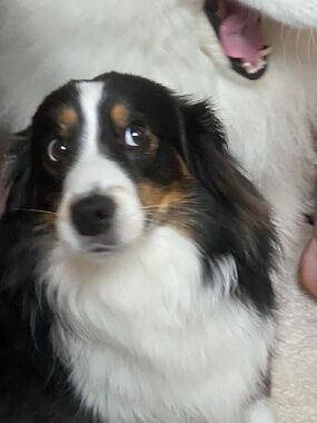 Meet your Posher, Key